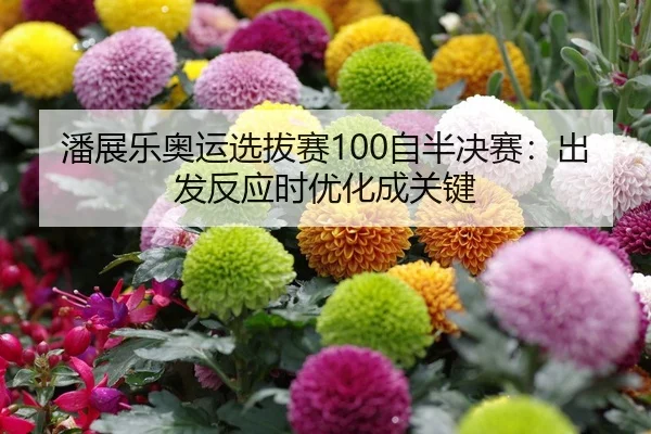 潘展乐奥运选拔赛100自半决赛：出发反应时优化成关键