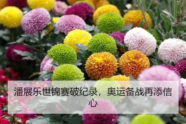 潘展乐世锦赛破纪录，奥运备战再添信心