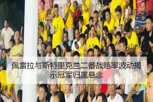 佩雷拉与斯特里克兰二番战赔率波动揭示冠军归属悬念